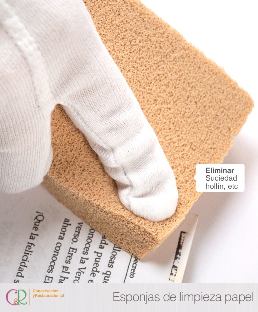 C&R: Esponja de látex de goma vulvanizado/ Art sponge C&R: Esponja de látex de goma vulvanizado/ Art sponge