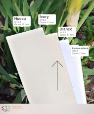 Paspartú Ivory