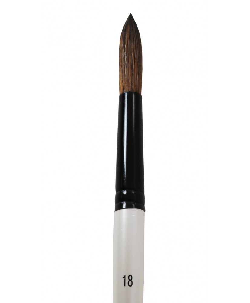 Pincel Round wash  N° 18 Pony Mango corto Graduate – DALER ROWNEY