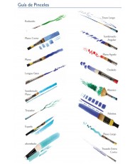 Set 5 pinceles detalles Graduate – DALER ROWNEY