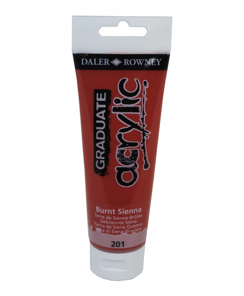 C&R: Acrílico Burnt Sienna (201) 120ml Graduate Daler-Rowney C&R: Acrílico Burnt Sienna (201) 120ml Graduate Daler-Rowney