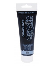 C&R: Acrílico Payne's Grey (065) 120ml Graduate Daler-Rowney