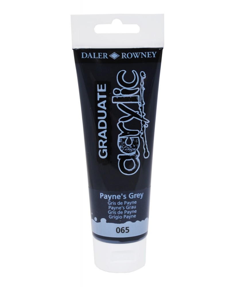 C&R: Acrílico Payne's Grey (065) 120ml Graduate Daler-Rowney