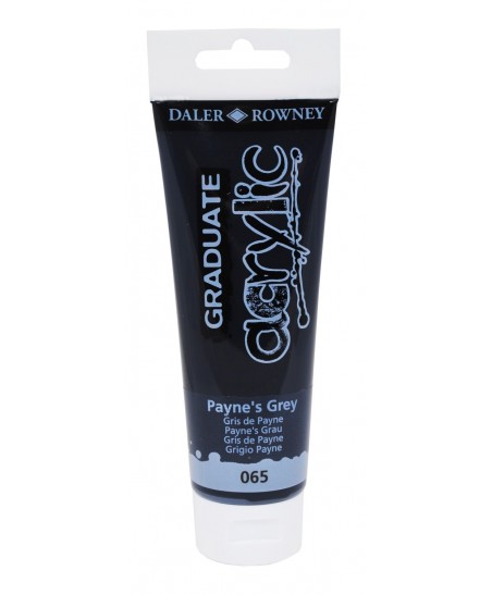 C&R: Acrílico Payne's Grey (065) 120ml Graduate Daler-Rowney