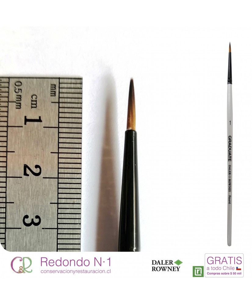 C&R: Pincel Redondo N° 1 Mango corto Graduate – DALER ROWNEY C&R: Pincel Redondo N° 1 Mango corto Graduate – DALER ROWNEY